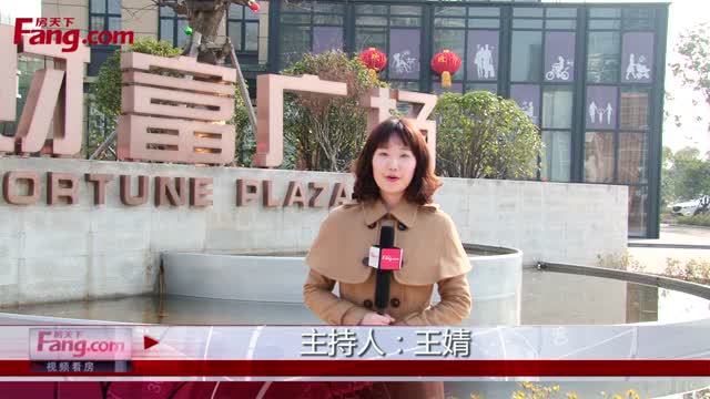 武汉阳逻财富广场户型介绍